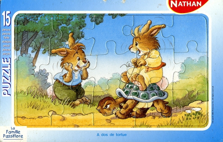 Famille Passiflore - Nathan 03