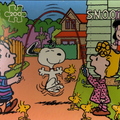 <span class=ac>Saut à la corde - MB</span>