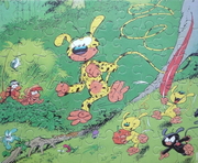Marsupilami 43098 p
